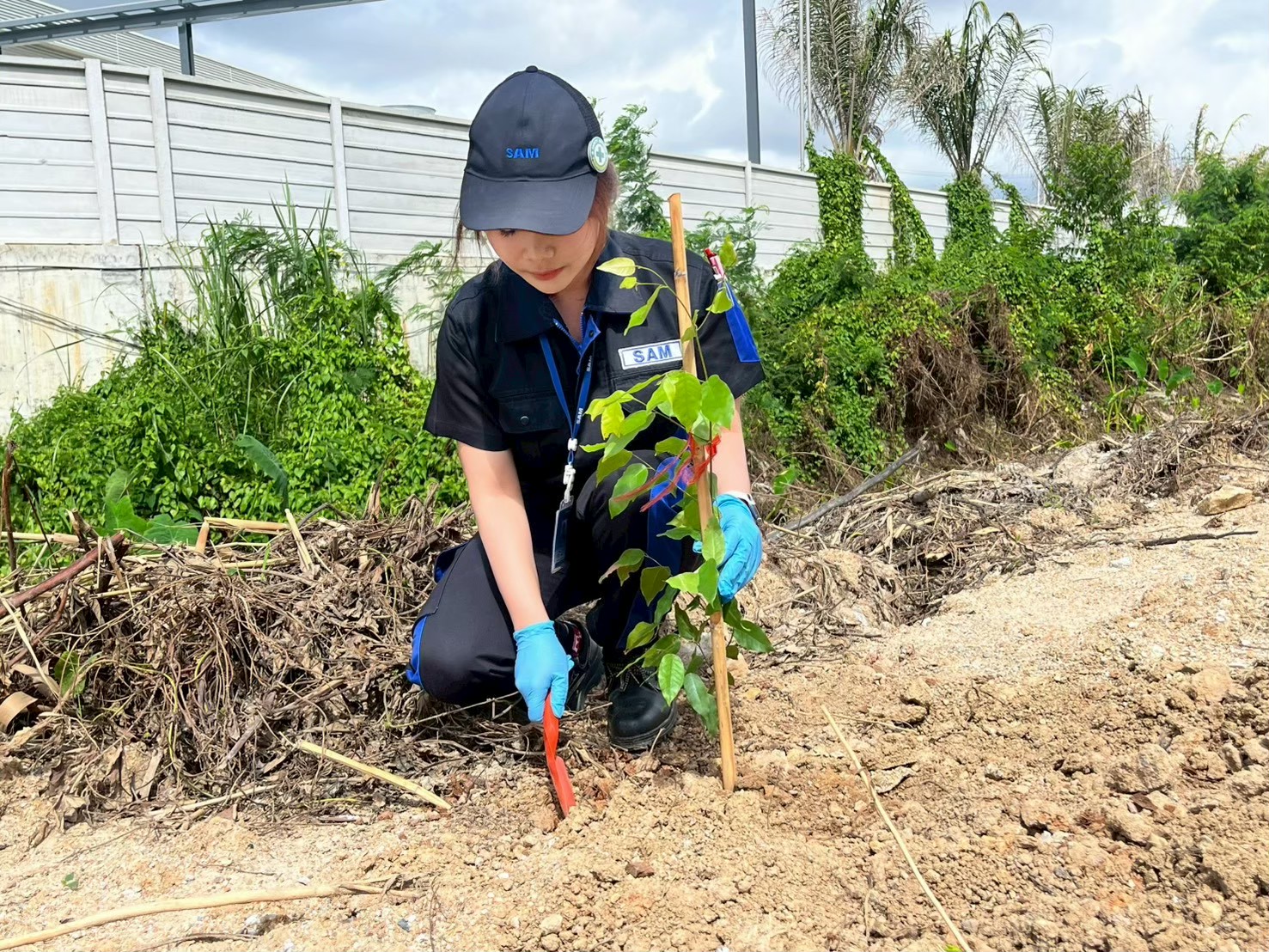 2026 Tree Planting Activity — ภาพที่ 4